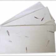 aster_stationary_env2L
